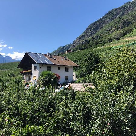 Pixnerhof - Urlaub Am Biohof Apartman Castelbello Kültér fotó