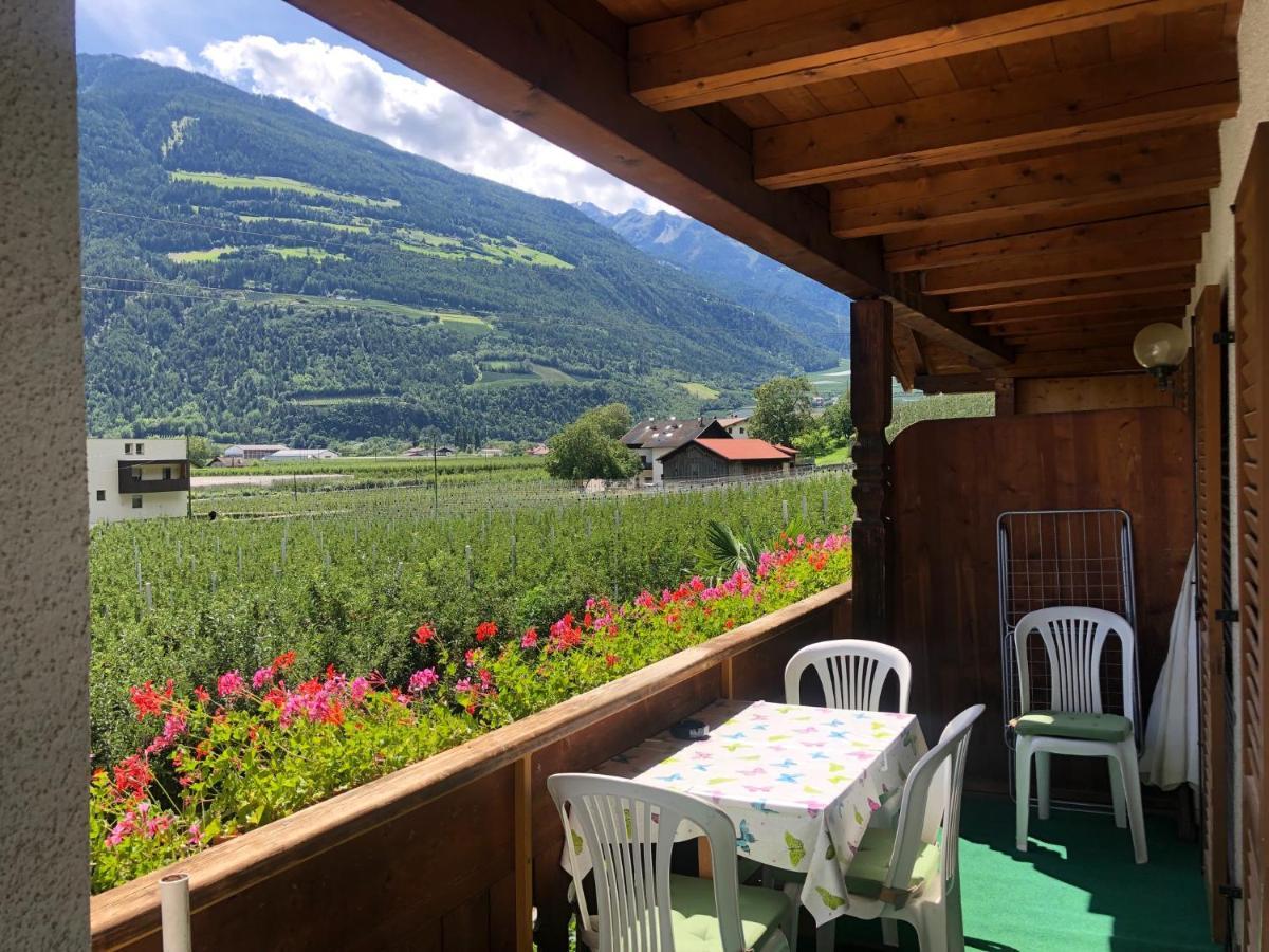 Pixnerhof - Urlaub Am Biohof Apartman Castelbello Kültér fotó