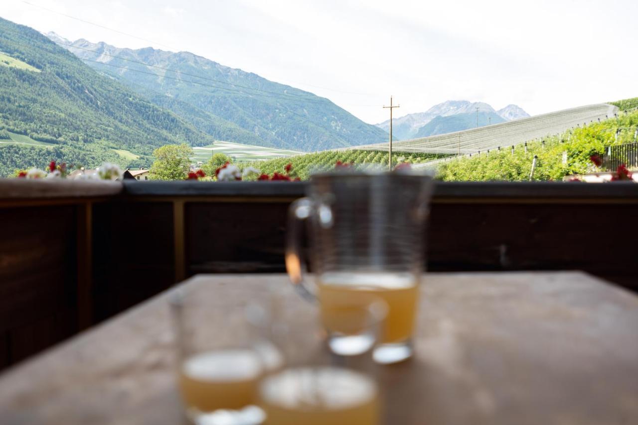 Pixnerhof - Urlaub Am Biohof Apartman Castelbello Kültér fotó