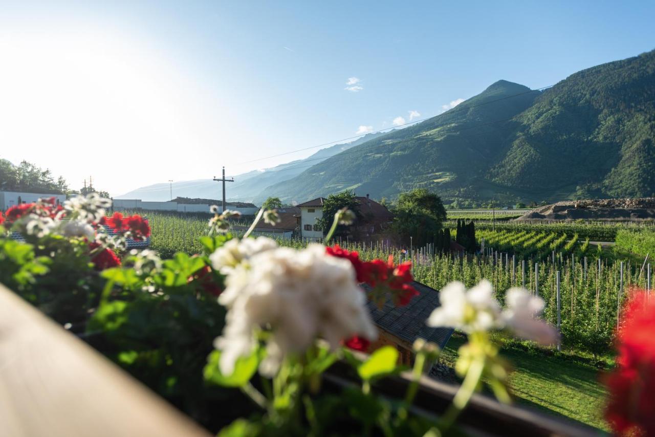 Pixnerhof - Urlaub Am Biohof Apartman Castelbello Kültér fotó